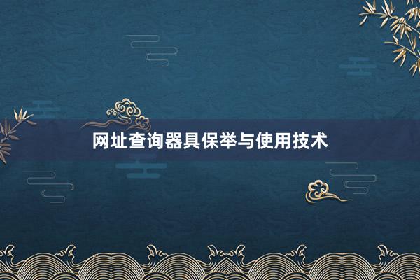 网址查询器具保举与使用技术